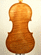 violino mod. G. Guarneri del Gesù Cremona 1742